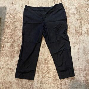 Ann Taylor Factory curvy fit pants, size 16.